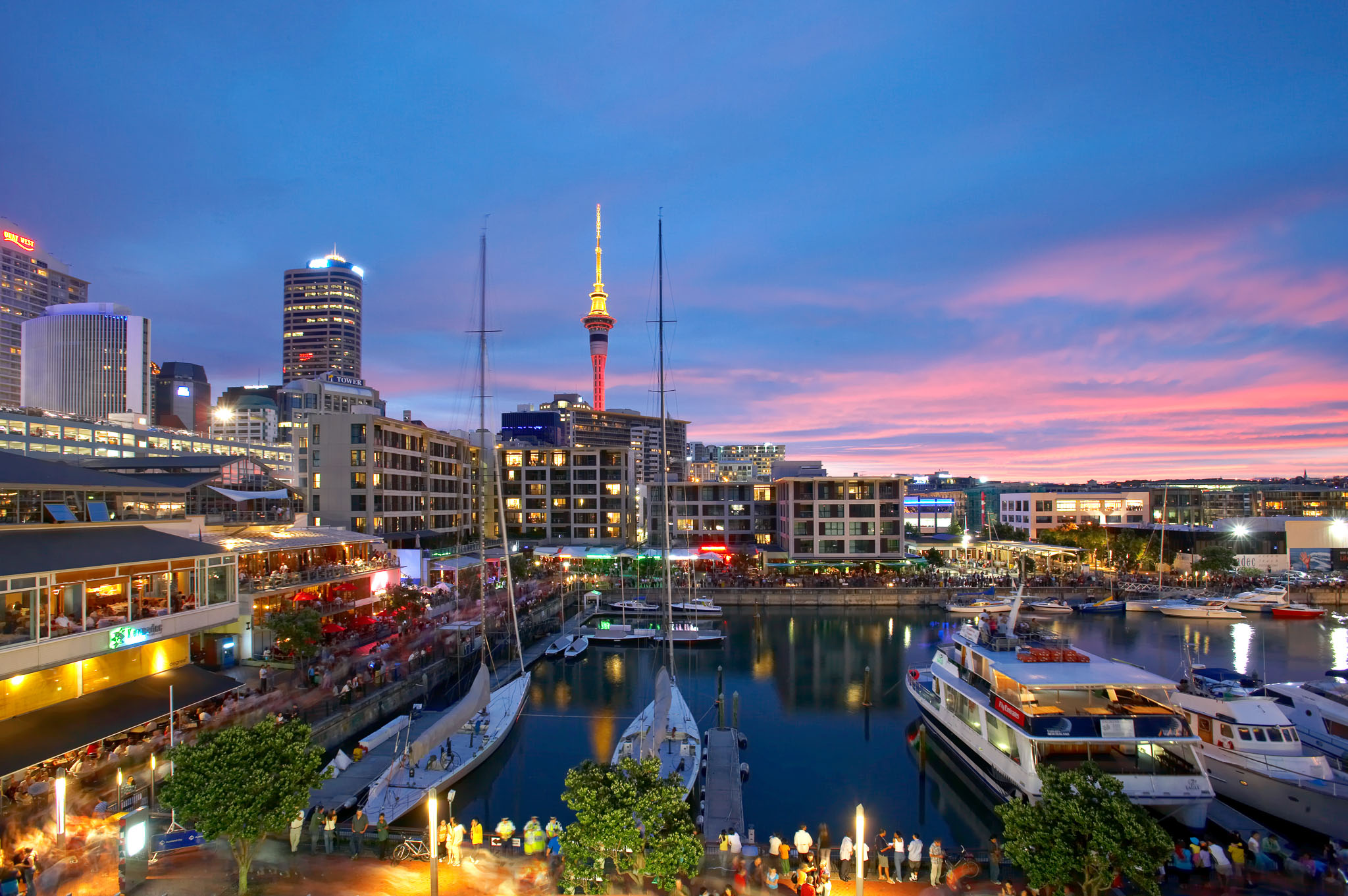 travel in auckland new zealand